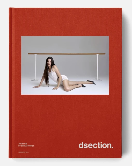 DSection SERENDIPITY VOL 1 Covers
