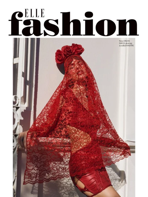 The Colors of Mexico