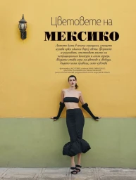 The Colors of Mexico