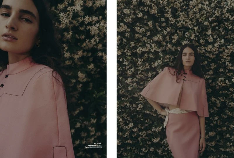 Postcards from The Hill