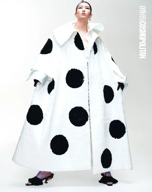 Shape of Architecture