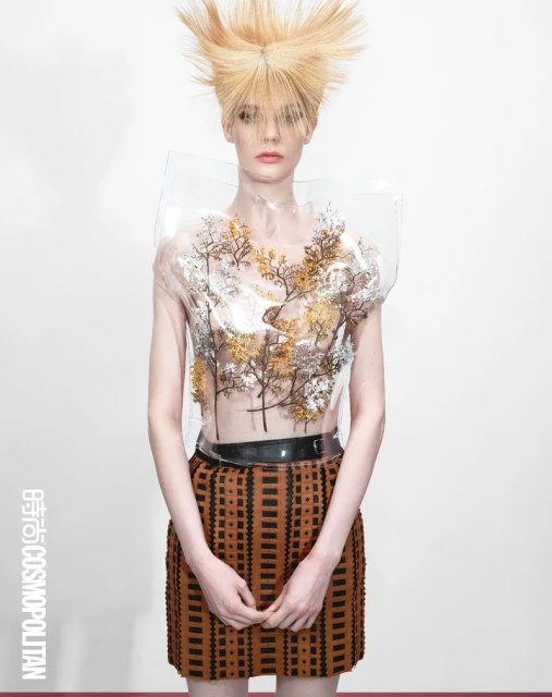 Shape of Architecture