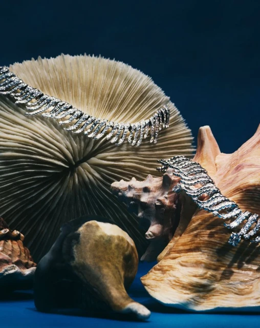 Maravillas BAJO EL MAR