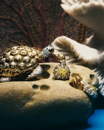 Maravillas BAJO EL MAR