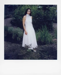 Lily Kwong Celebrates New York Fauna