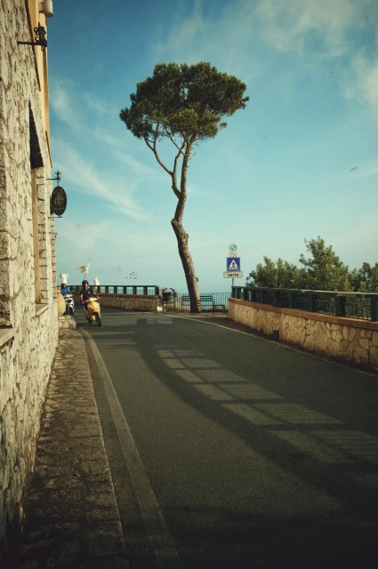 Daphne Groeneveld, Fall '24 Campaign