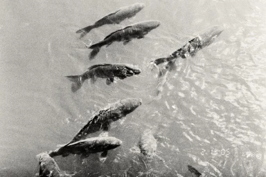 First Instinct - TOKYO