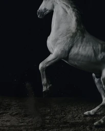 Fall-Winter 2025 Collection