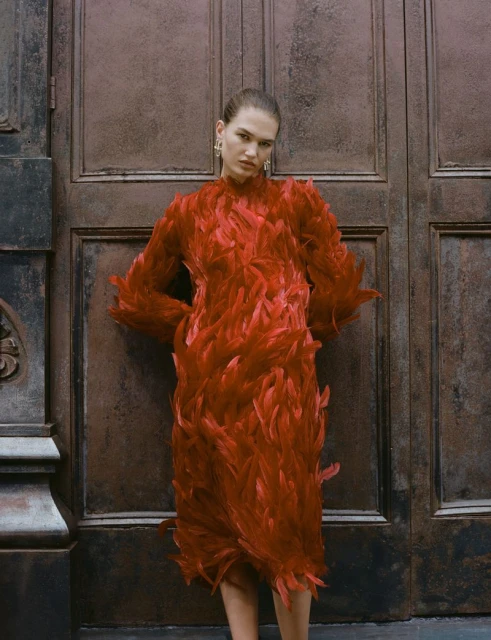 Won't Dim These Lights