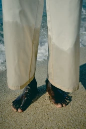 Lemon & Pie Collection