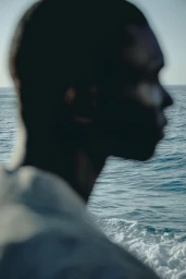 Lemon & Pie Collection