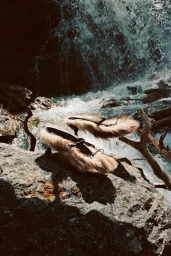 Last Look by Lukas Wassmann