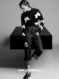 karllagerfeldparis.com