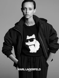 karllagerfeldparis.com