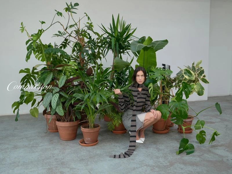 Commission F/W 25 Campaign