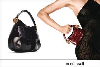 Roar Handbag Campaign