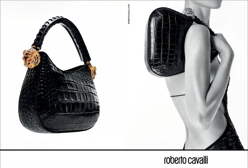 Roar Handbag Campaign