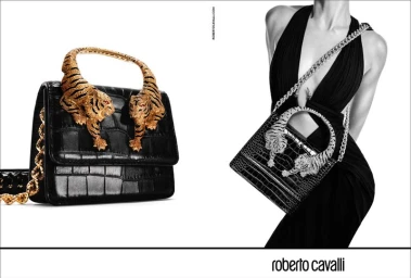 Roar Handbag Campaign