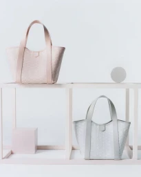 Moynat Duo BB Canvas Summer 2025