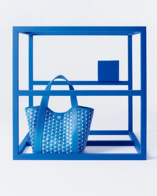 Moynat Duo BB Canvas Summer 2025