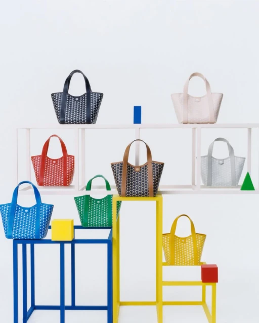 Moynat Duo BB Canvas Summer 2025