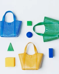 Moynat Duo BB Canvas Summer 2025