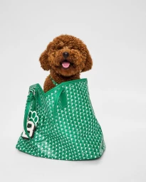 Moynat Pet Collection Summer 2025