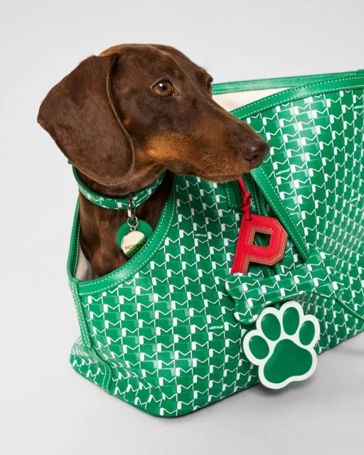 Moynat Pet Collection Summer 2025