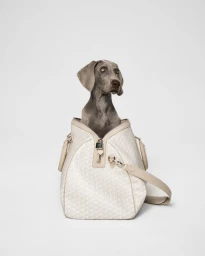 Moynat Pet Collection Summer 2025