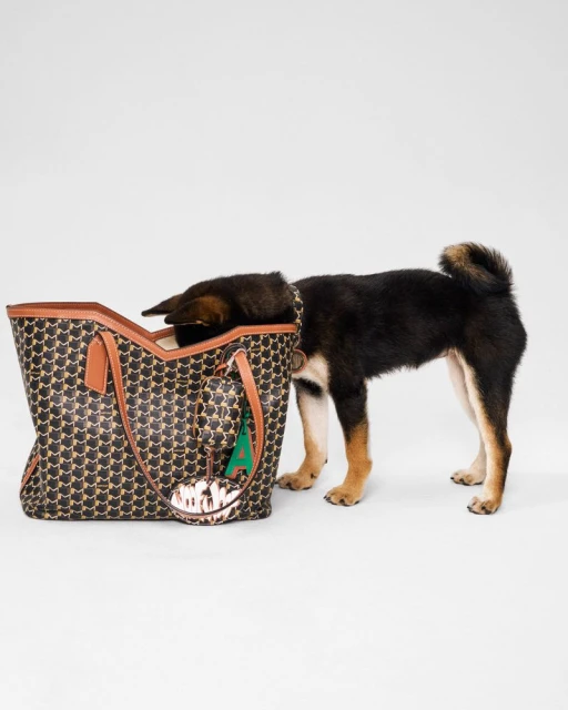 Moynat Pet Collection Summer 2025