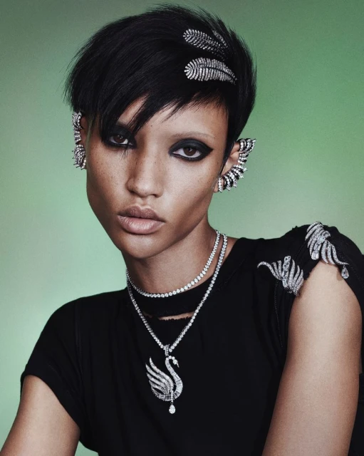 The Vienna Collection Campaign