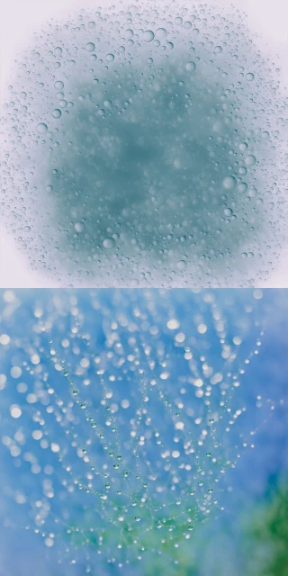 Branding, Website, Product & More