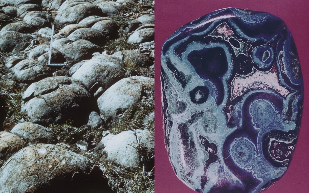 Branding, Website, Product & More