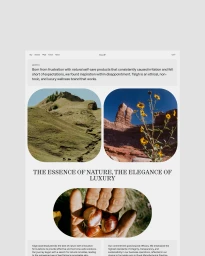 Branding, Website, Product & More