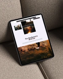 Brand & Vehicle Reveal