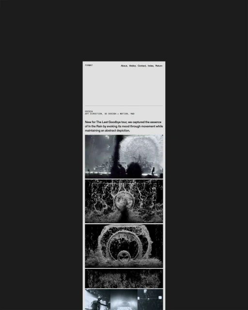 Brand Identity & Website