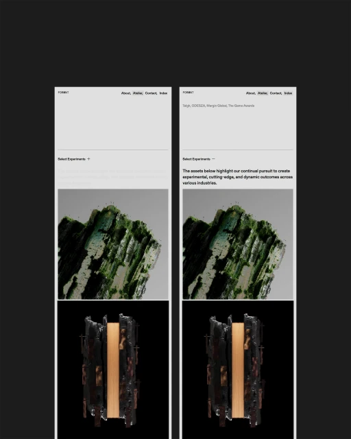 Brand Identity & Website