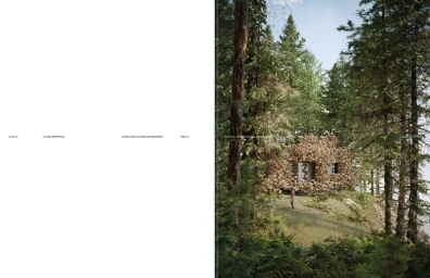 Visual Identity & Website