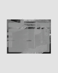 Visual Identity & Website