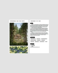 Visual Identity & Website