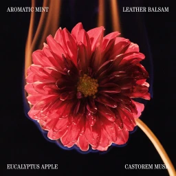 Brand & Social Collateral