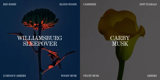 Brand & Social Collateral