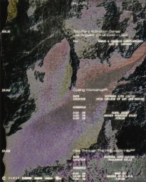 LA Collaboration Campaign