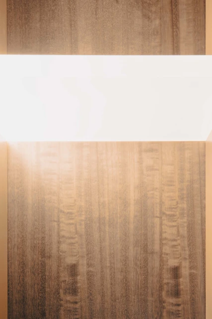 Visual Identity & Collateral