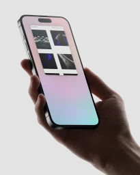 Visual Identity & Website