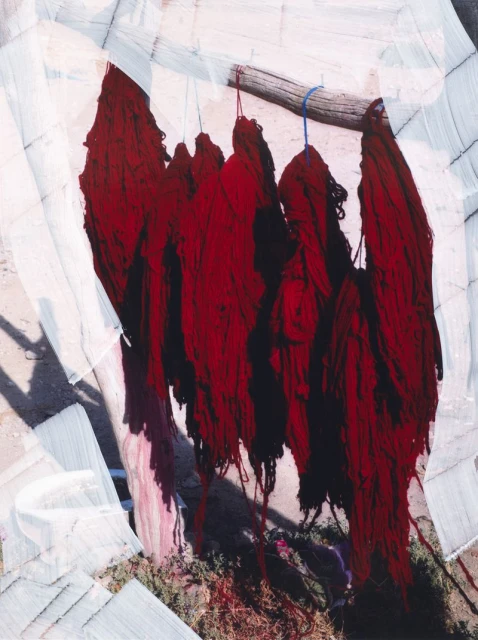 The colours of Morocco