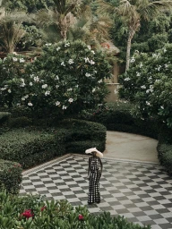 oothepalm x afrobougee