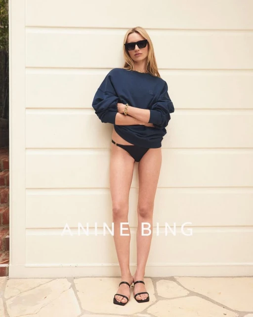 Anine Bing Resort 2025