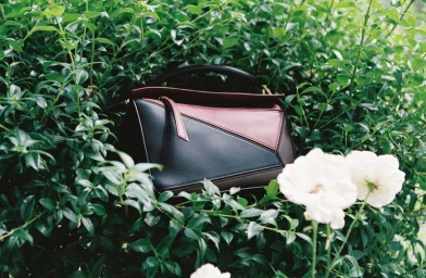 The 25 anniversary issue