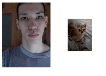 Seeing Itself x Sunflower x Space